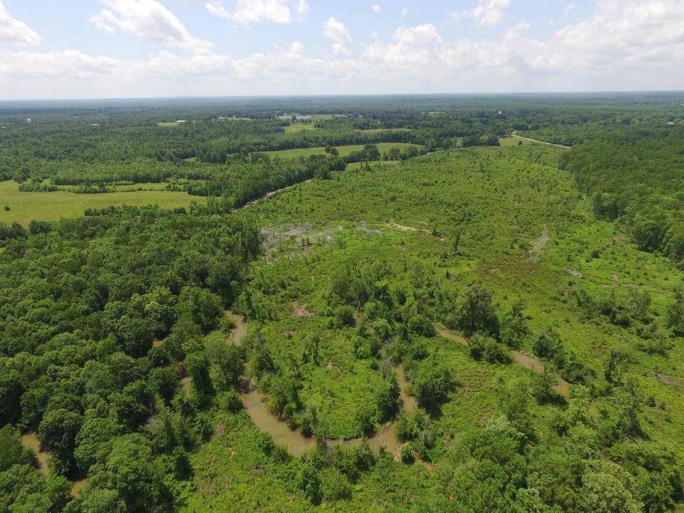 160 Liberty Road Moscow, TN 38057 - Photo 4 of 11 Gallery Image 4