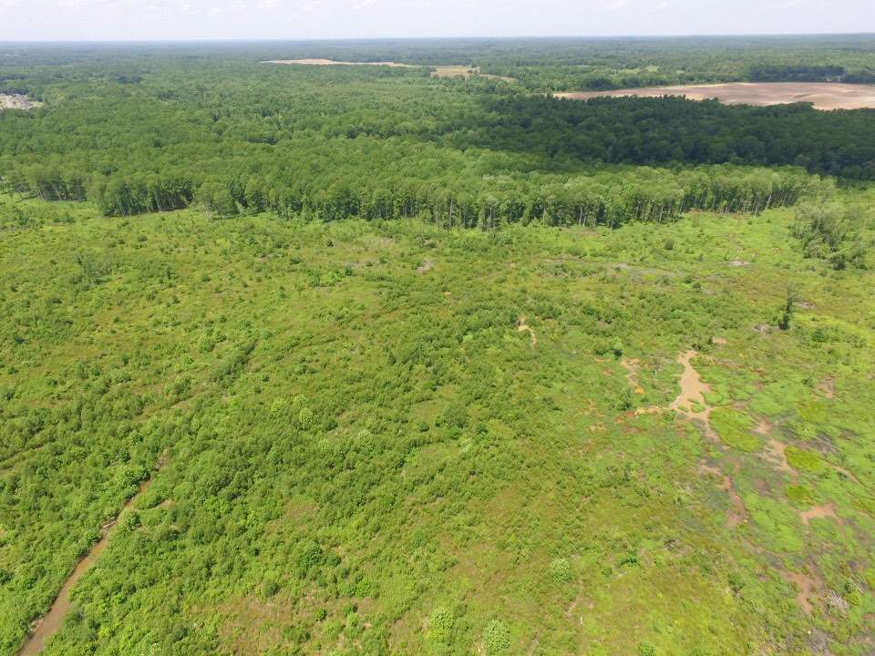 160 Liberty Road Moscow, TN 38057 - Photo 5 of 11 Gallery Image 5