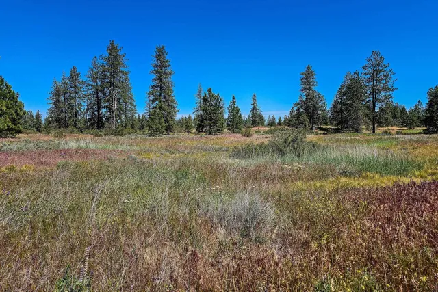 $89,900 | 51200 East Whispering Pines Drive East, Reardan, WA 99029