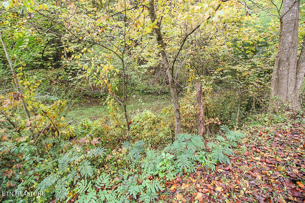 Lot Tr-1 Flat Branch Road Sevierville, TN 37876 - Photo 9 of 26 9