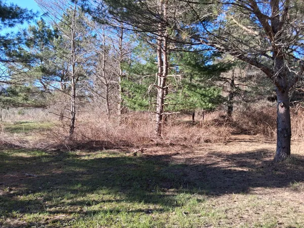 $149,900 | 4326 Heath Road, South Branch, MI 48761