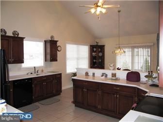 163 Connecticut Avenue Sinking Spring, PA 19608 - Photo 5 of 12 Kitchen