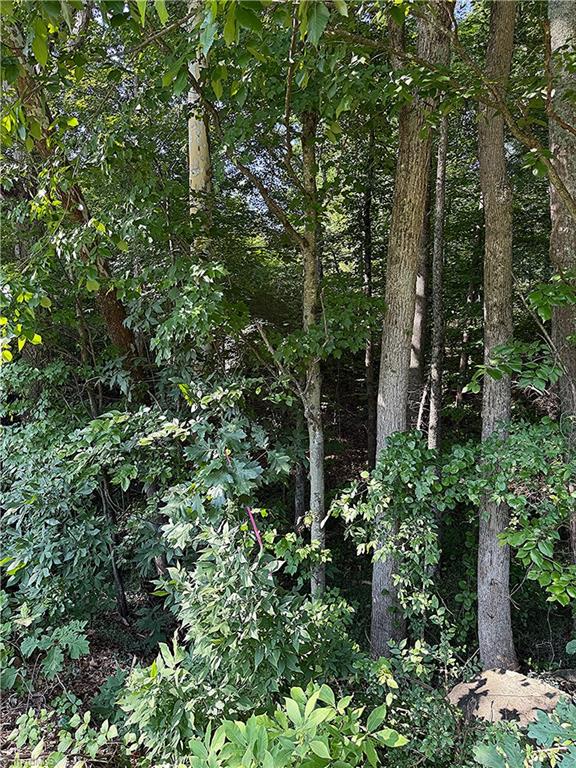 0 U.S. Highway 64 West Trinity, NC 27370 - Photo 3 of 6