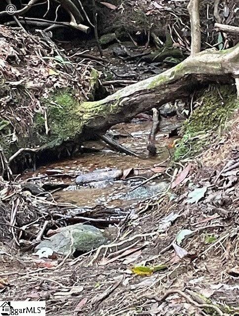 140 Old Springfield Road Cleveland, SC 29635 - Photo 11 of 11