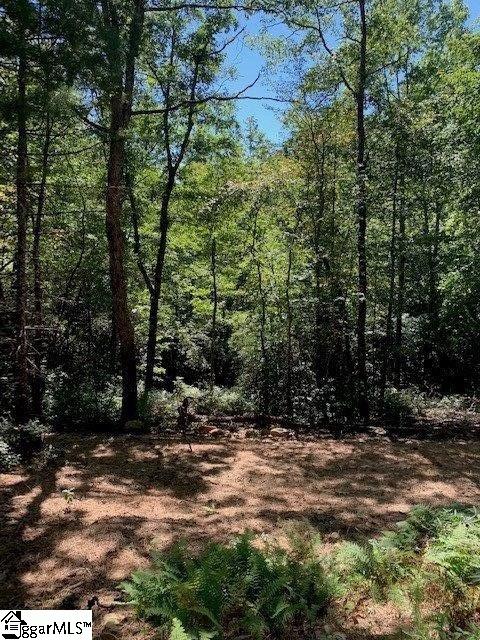 140 Old Springfield Road Cleveland, SC 29635 - Photo 4 of 11