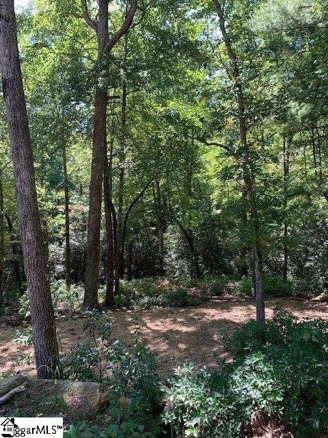 140 Old Springfield Road Cleveland, SC 29635 - Photo 5 of 11