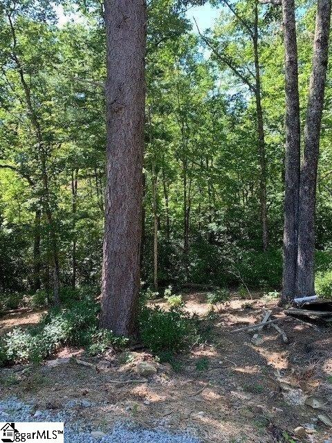 140 Old Springfield Road Cleveland, SC 29635 - Photo 7 of 11