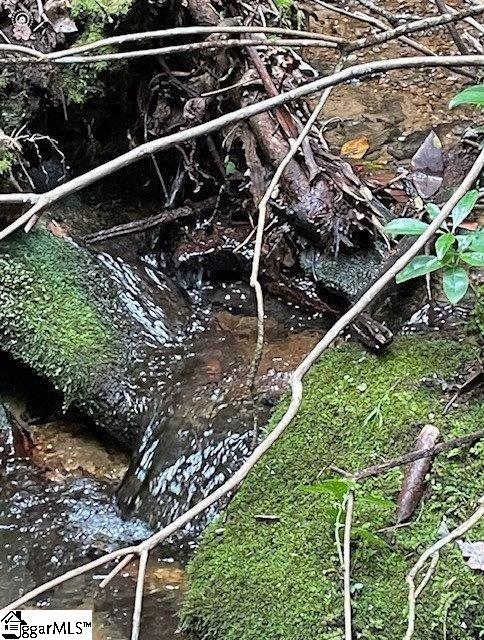 140 Old Springfield Road Cleveland, SC 29635 - Photo 9 of 11