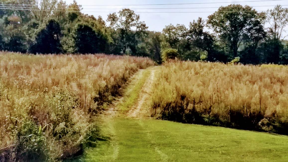Rabbitsville Road Mitchell, IN 47446 - Photo 7 of 8