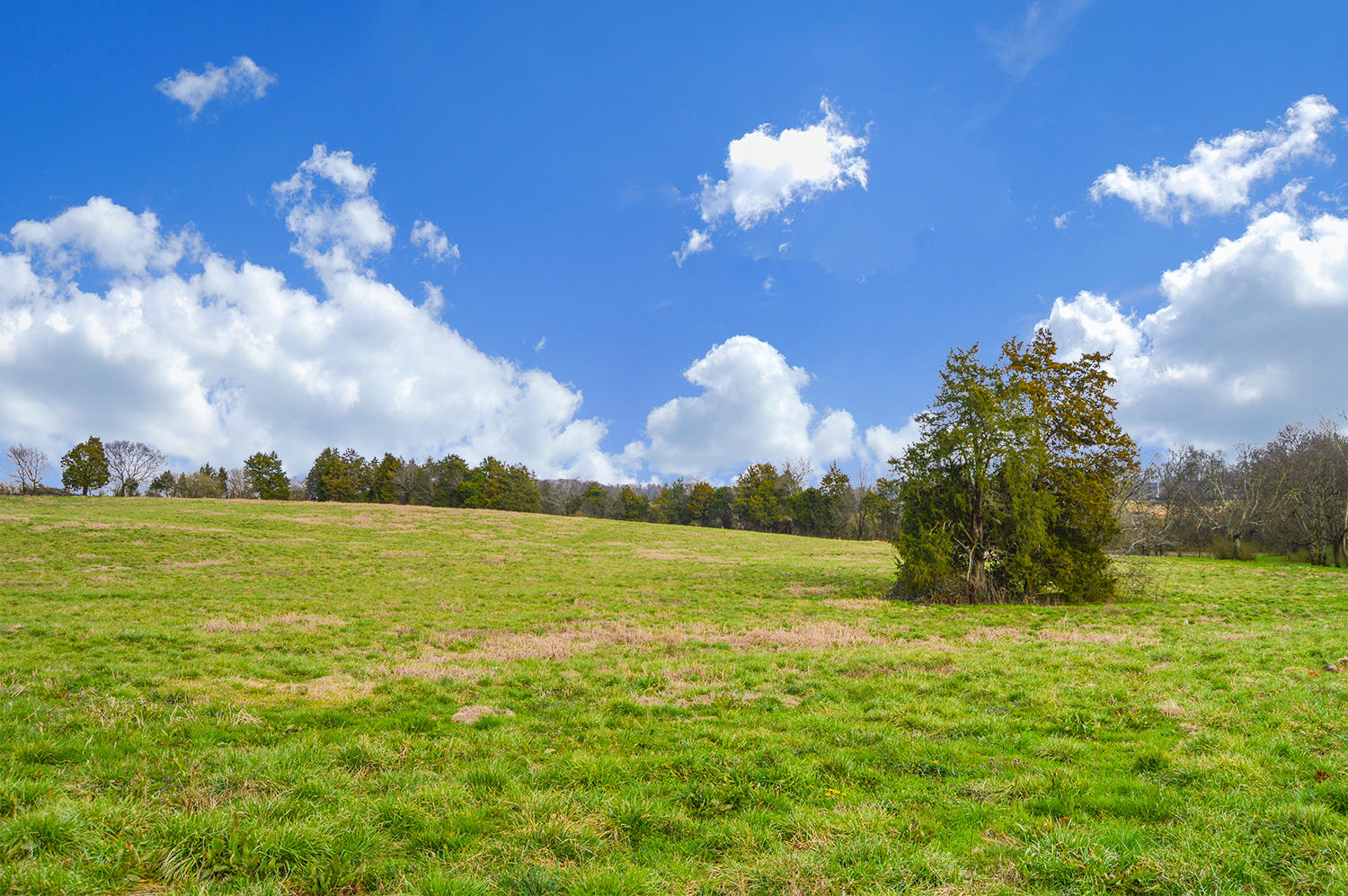 512 Old Charleston Road Northeast Cleveland, TN 37312 - Photo 12 of 12 Greywood Lot 30_13