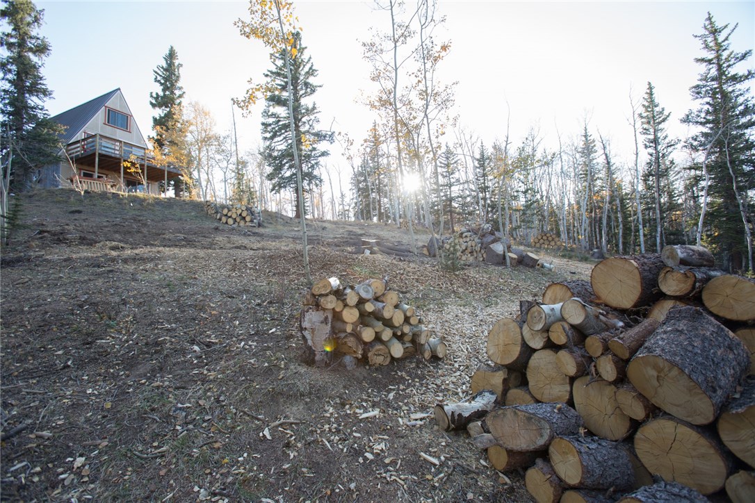 377 Sheep Ridge Road Fairplay, CO 80440 - Photo 32 of 35 Gallery Image 32