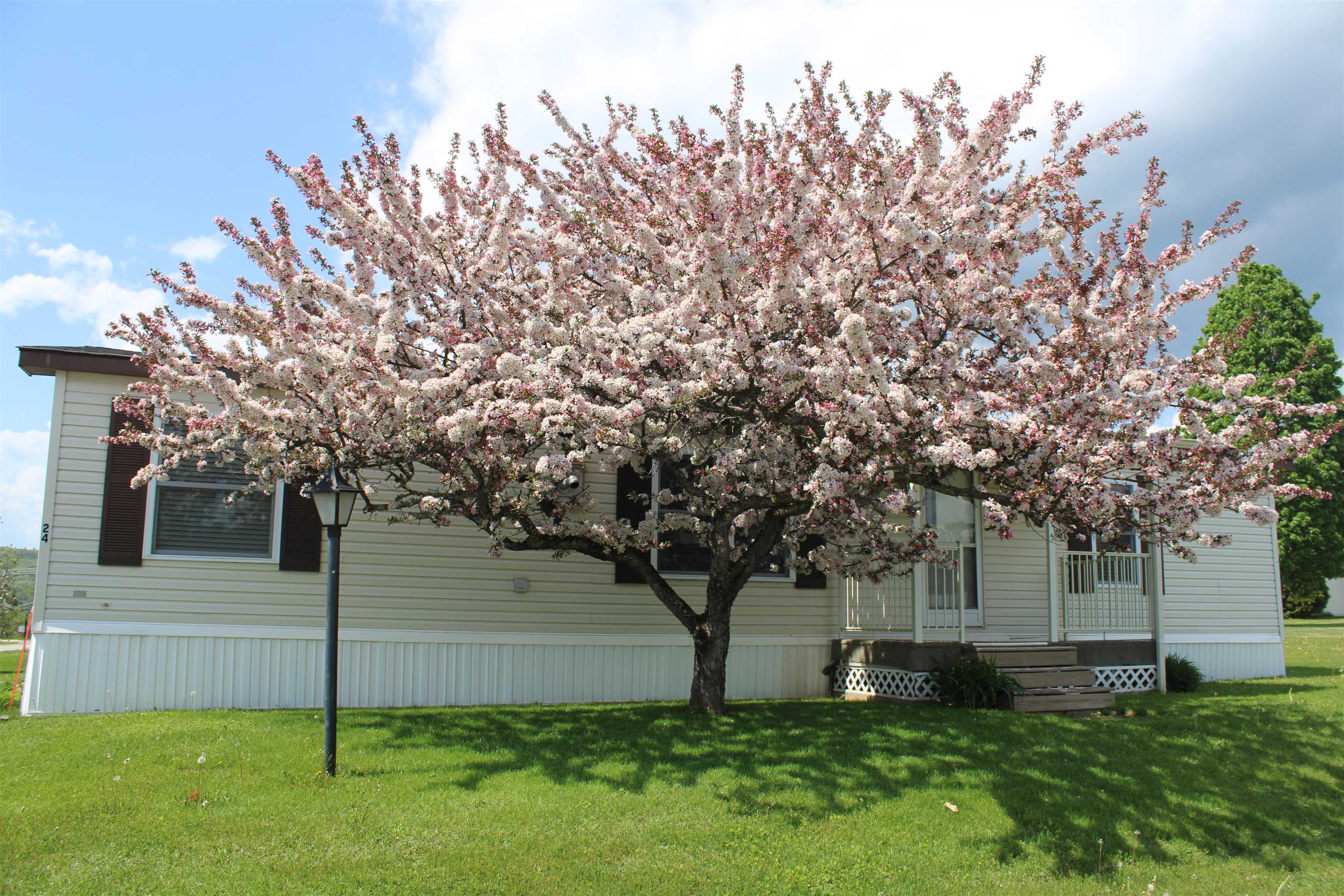 24 Ridgeview Terrace Dalton, NH 03598 - Photo 25 of 32