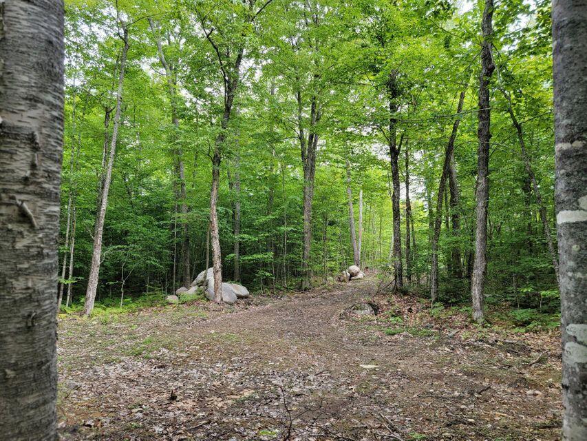 1 Railroad Bed Rd Lake View Milo, ME 04463 - Photo 10 of 27 Driveway 4