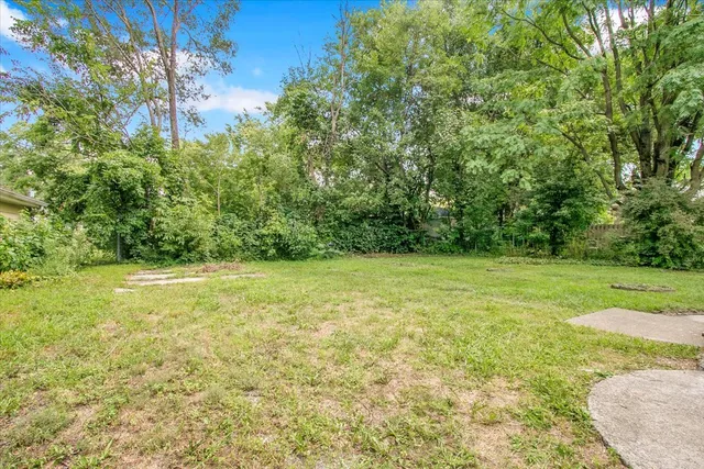 a view of a yard with an trees