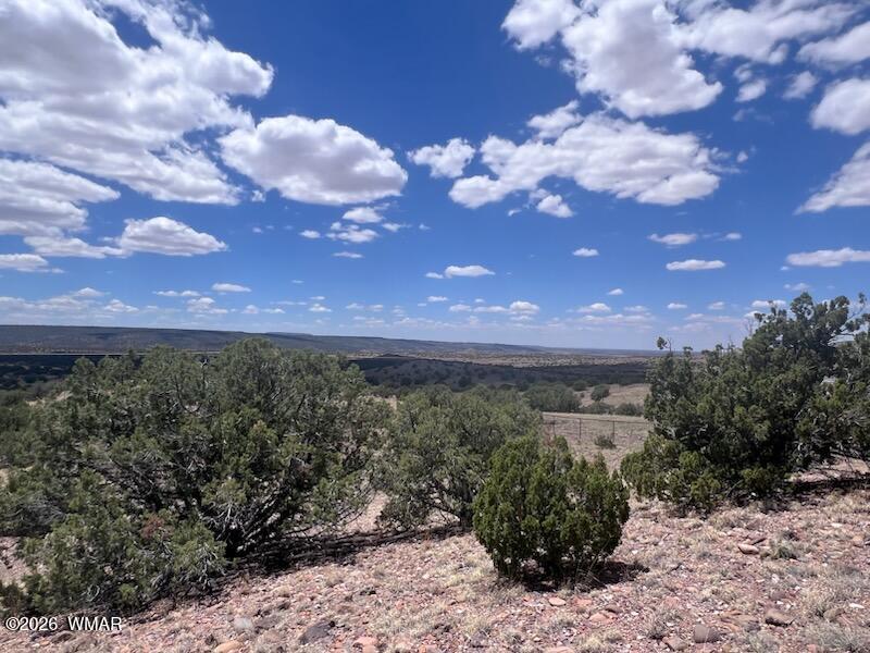 41 Indian Drive Concho, AZ 85924 - Photo 6 of 26 Blue Skies
