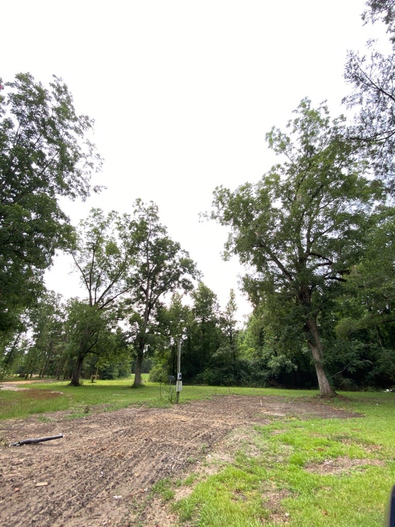 2242 Coot Adams Road Ashford, AL 36312 - Photo 14 of 39
