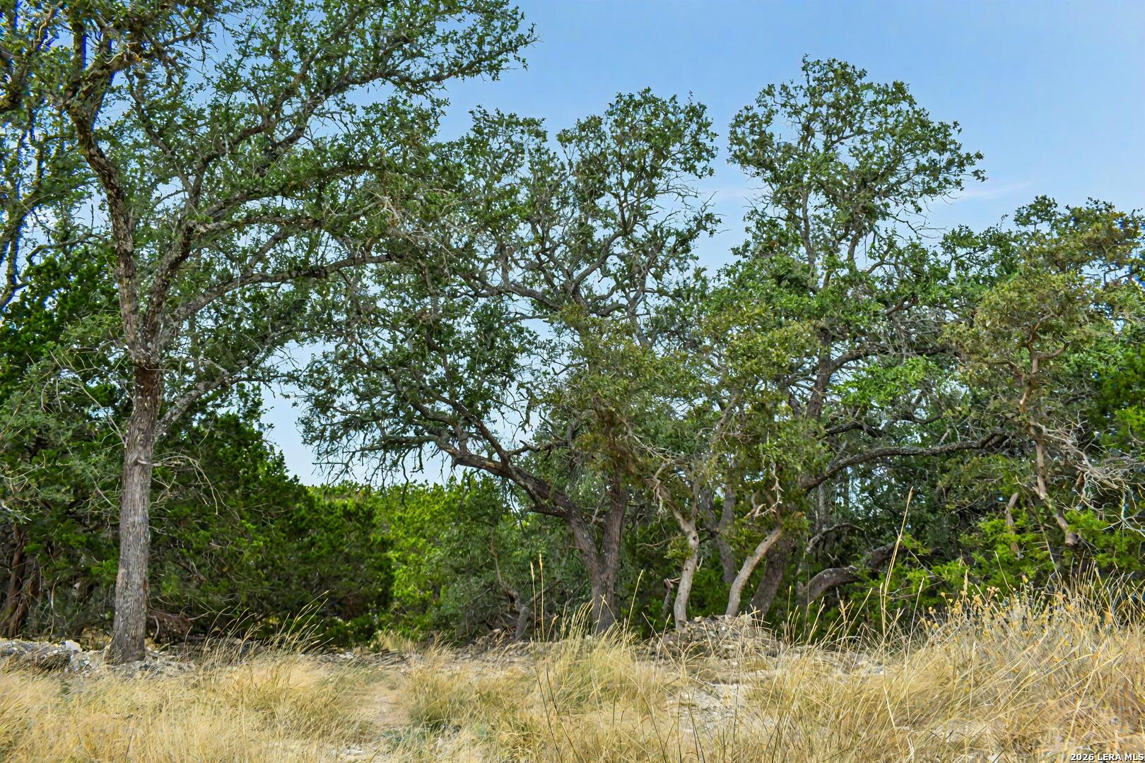 7 East Bison Way Harper, TX 78631 - Photo 11 of 15 a view of a yard
