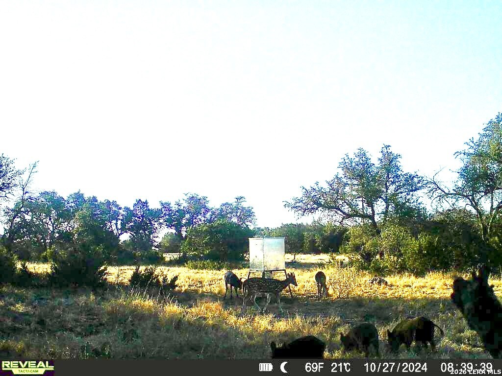 7 East Bison Way Harper, TX 78631 - Photo 12 of 15 a view of a lake