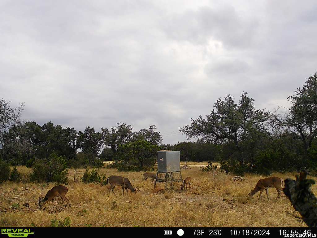 7 East Bison Way Harper, TX 78631 - Photo 14 of 15 a view of a houses with sky view