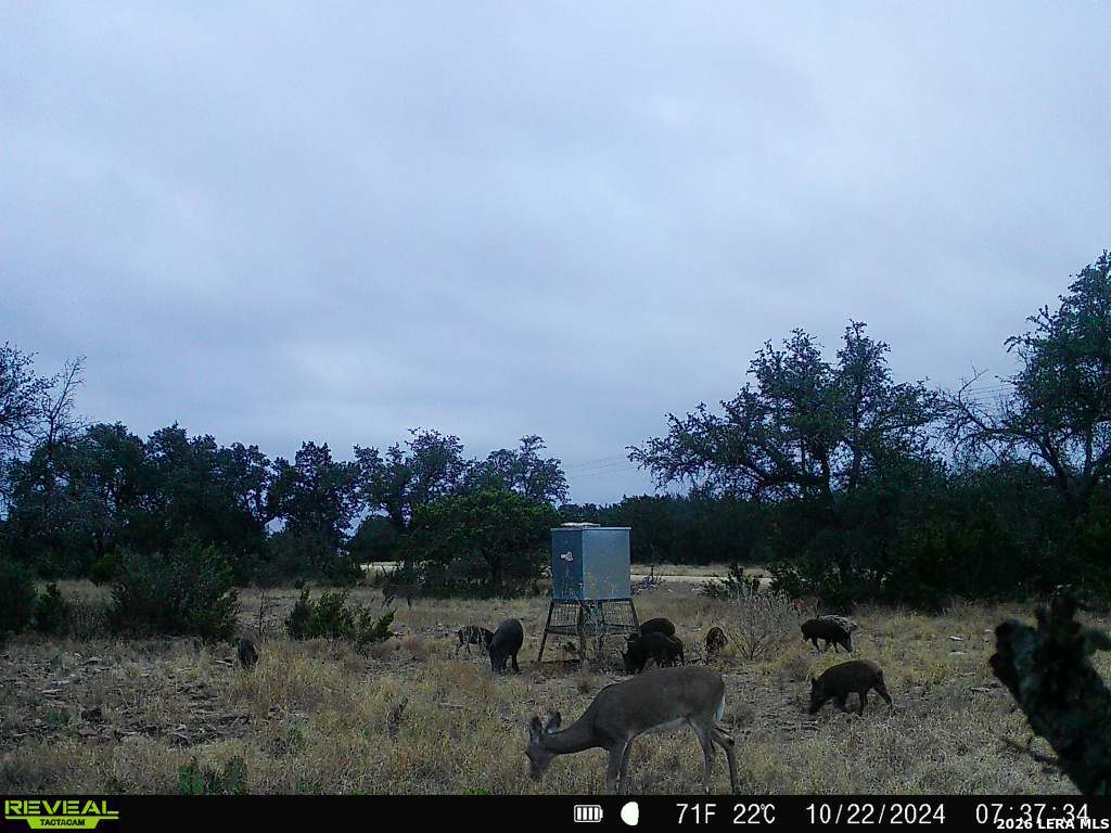 7 East Bison Way Harper, TX 78631 - Photo 15 of 15 a view of a city