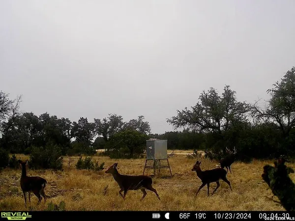 a view of a lake with outdoor space