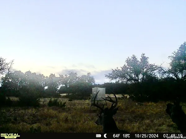 a view of a yard in front of the house