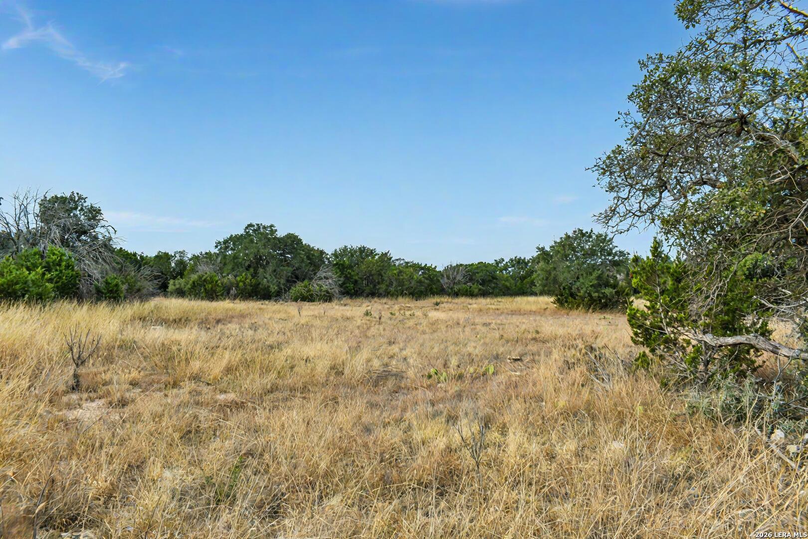 7 East Bison Way Harper, TX 78631 - Photo 9 of 15 a view of lake