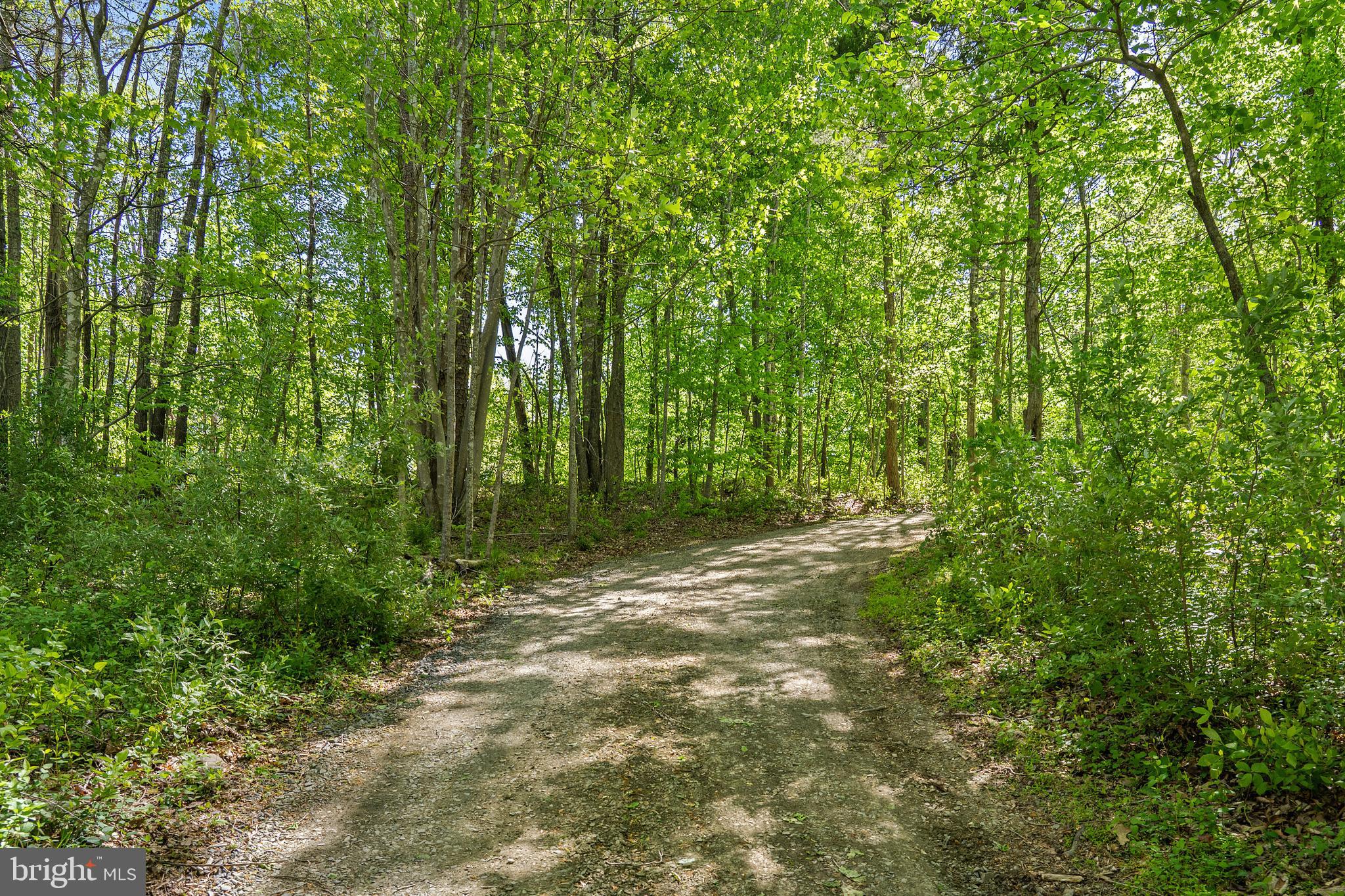 7015 Wilson Road Marshall, VA 20115 - Photo 23 of 27