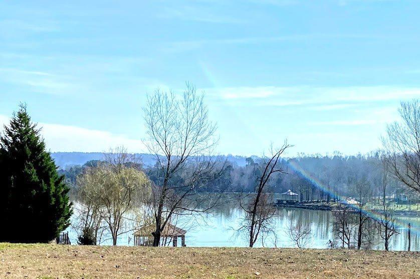 Waterfront Way Spring Spring City, TN 37381 - Photo 1 of 8 a