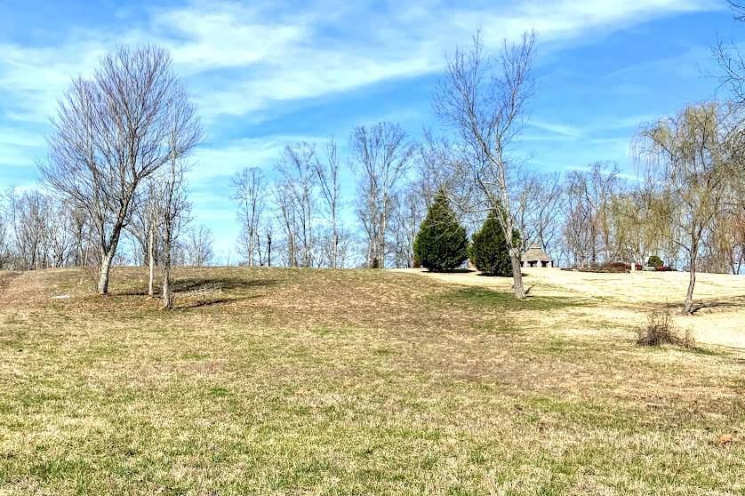 Waterfront Way Spring Spring City, TN 37381 - Photo 2 of 8 b