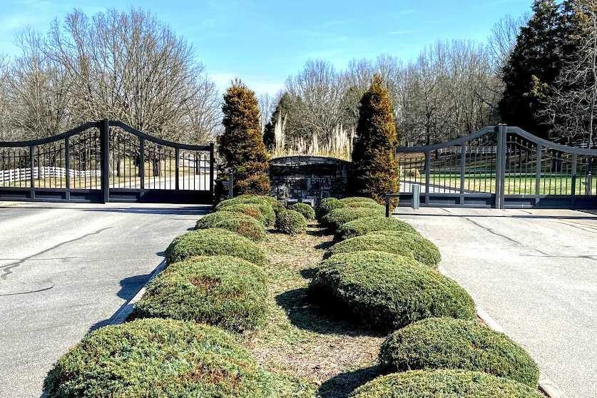 Waterfront Way Spring Spring City, TN 37381 - Photo 5 of 8 e
