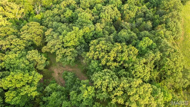 $1,525,000 | 69 McClay Road, Winfield, MO 63389