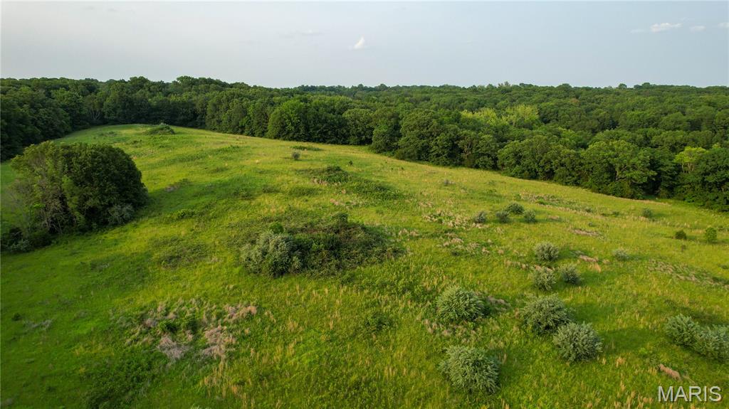 69 McClay Road Winfield, MO 63389 - Photo 4 of 23