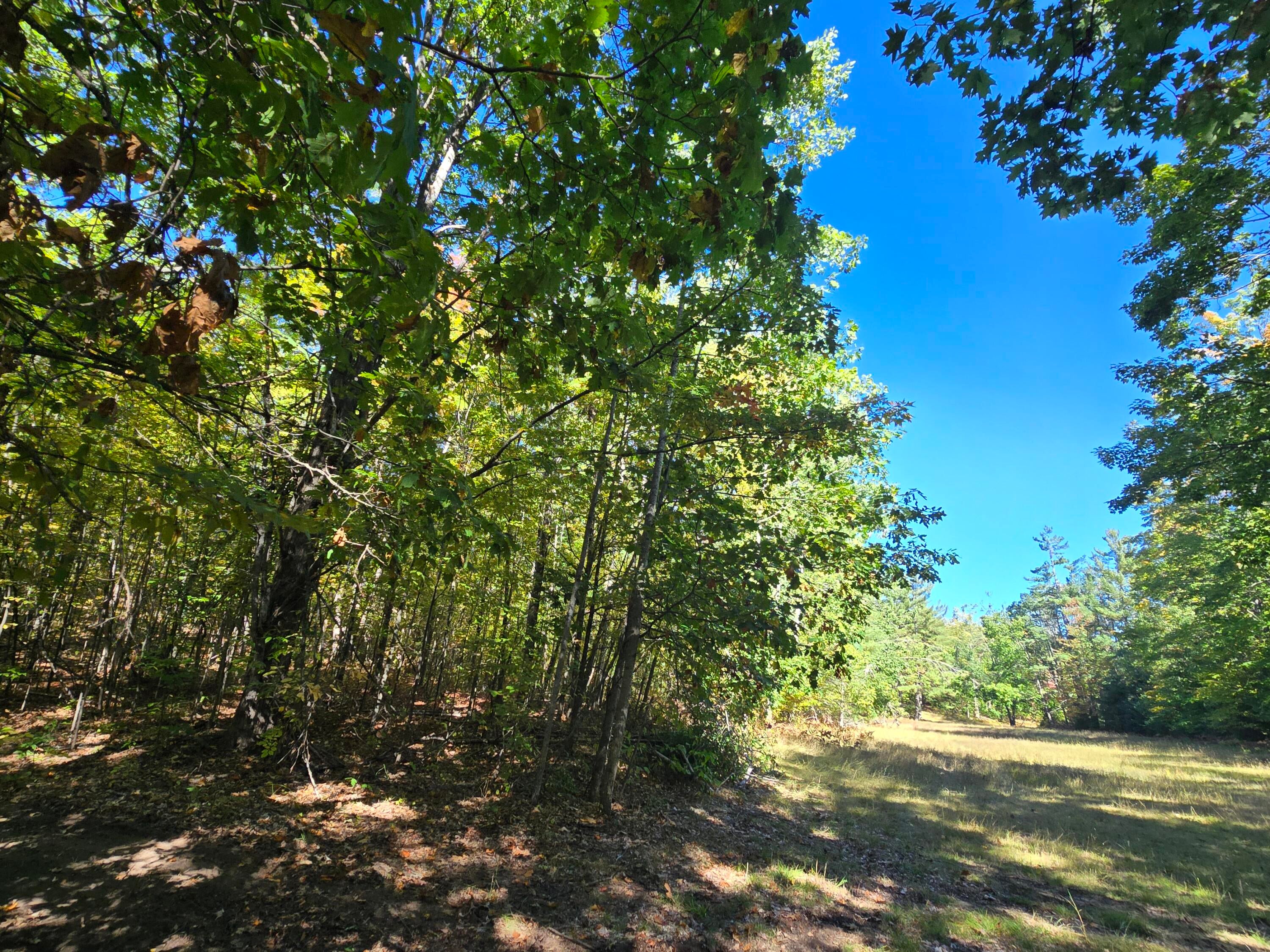 455 East Helmer Lake Road Fairview, MI 48621 - Photo 55 of 86 20250928_151938
