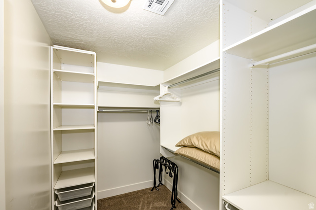 1283 North Gallen Road Santa Clara, UT 84765 - Photo 80 of 103 ADU primary bedroom Walk in closet with dark carpet