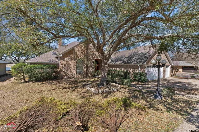 a view of a yard with plants and trees