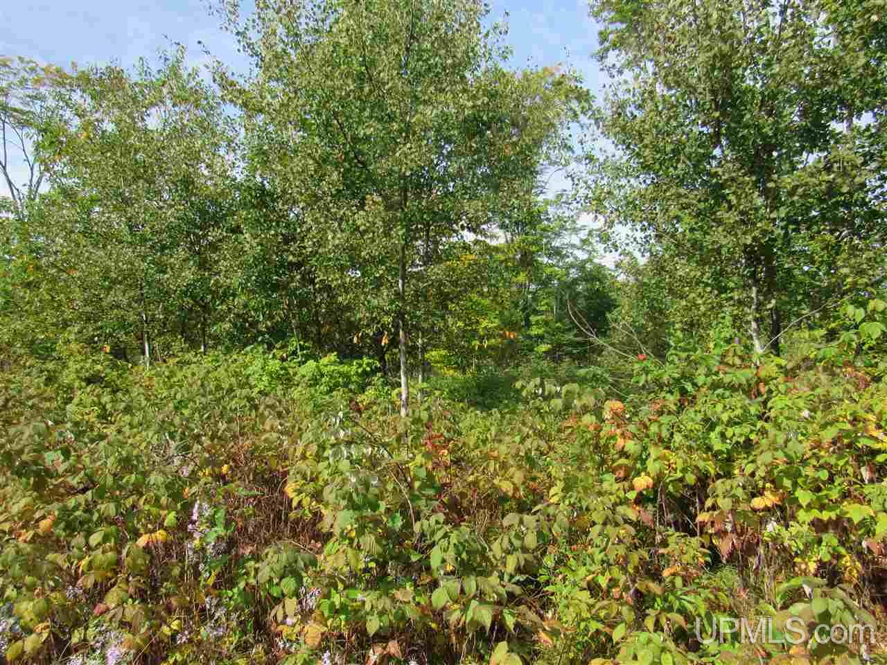 Tbd Ff Road, Unit 13A Garden, MI 49835 - Photo 7 of 8