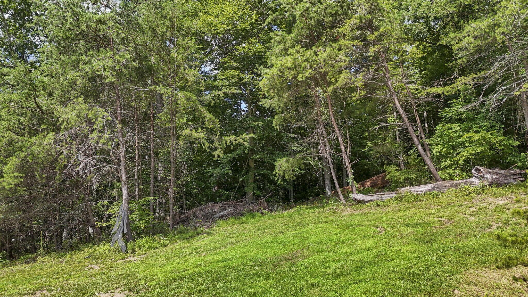 1071 Lake Katharine Road Jackson, OH 45640 - Photo 71 of 84 75-web-or-mls-DJI_20260702105949_0056_D