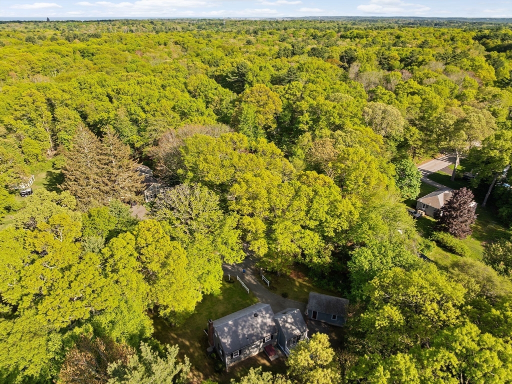 154 Mann Road Scituate, MA 02066 - Photo 22 of 34 a view of a yard with plants