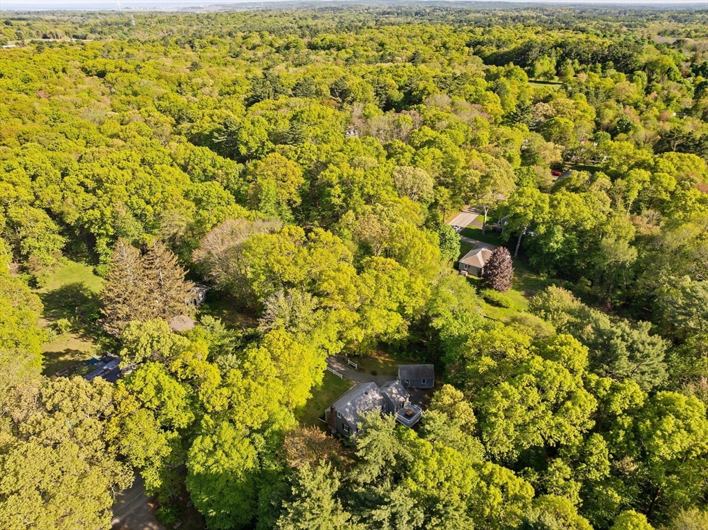 154 Mann Road Scituate, MA 02066 - Photo 24 of 34 a view of a yard with plants