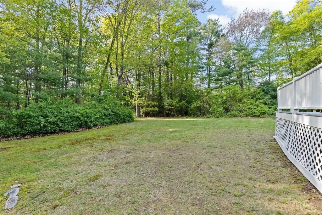 154 Mann Road Scituate, MA 02066 - Photo 28 of 34 a view of a yard with plants and large trees