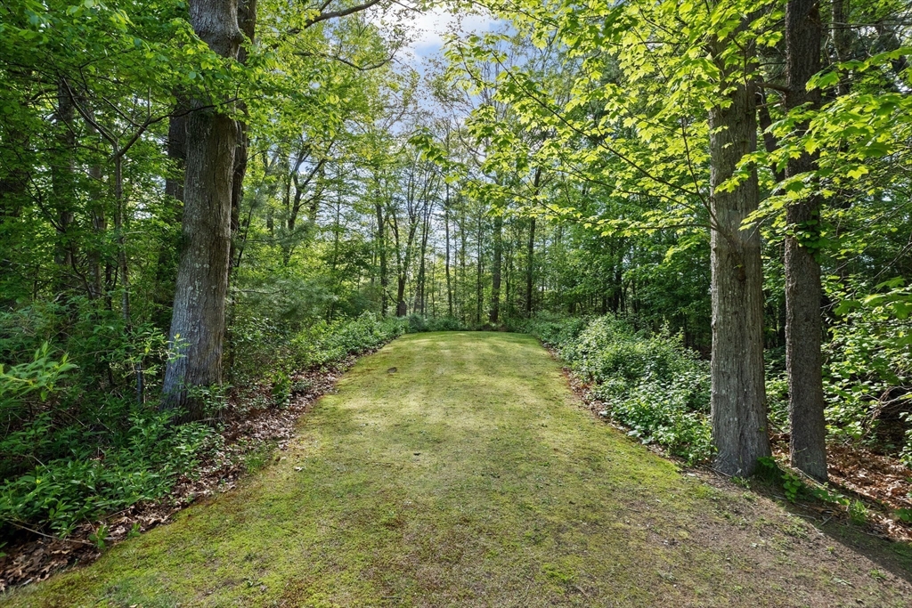 154 Mann Road Scituate, MA 02066 - Photo 30 of 34 a view of outdoor space and trees all around