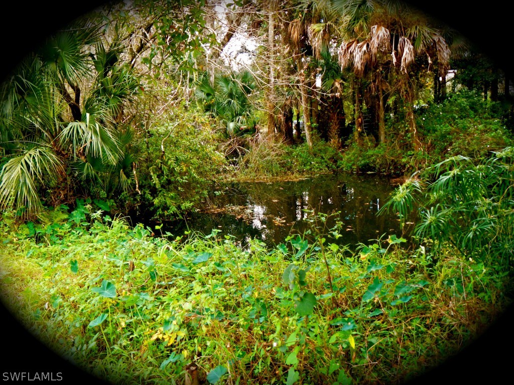 20150 North River Road Alva, FL 33920 - Photo 7 of 25 a view of a garden