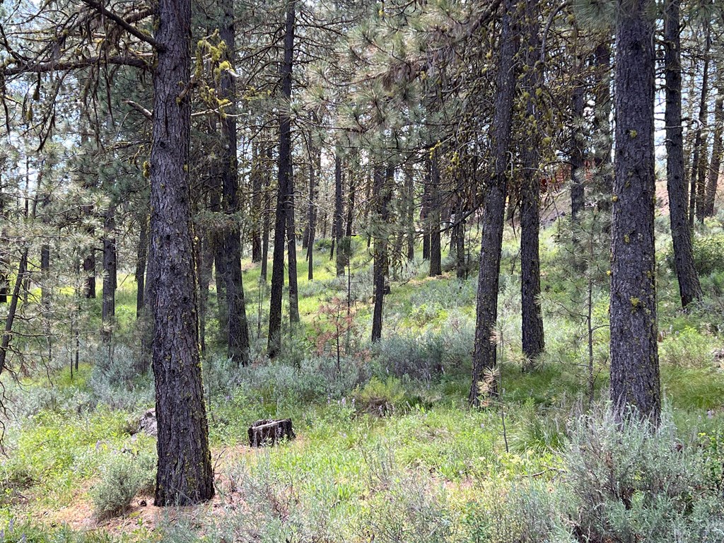 B22-l13 Vardon Road, Unit 13 New Meadows, ID 83654 - Photo 12 of 16