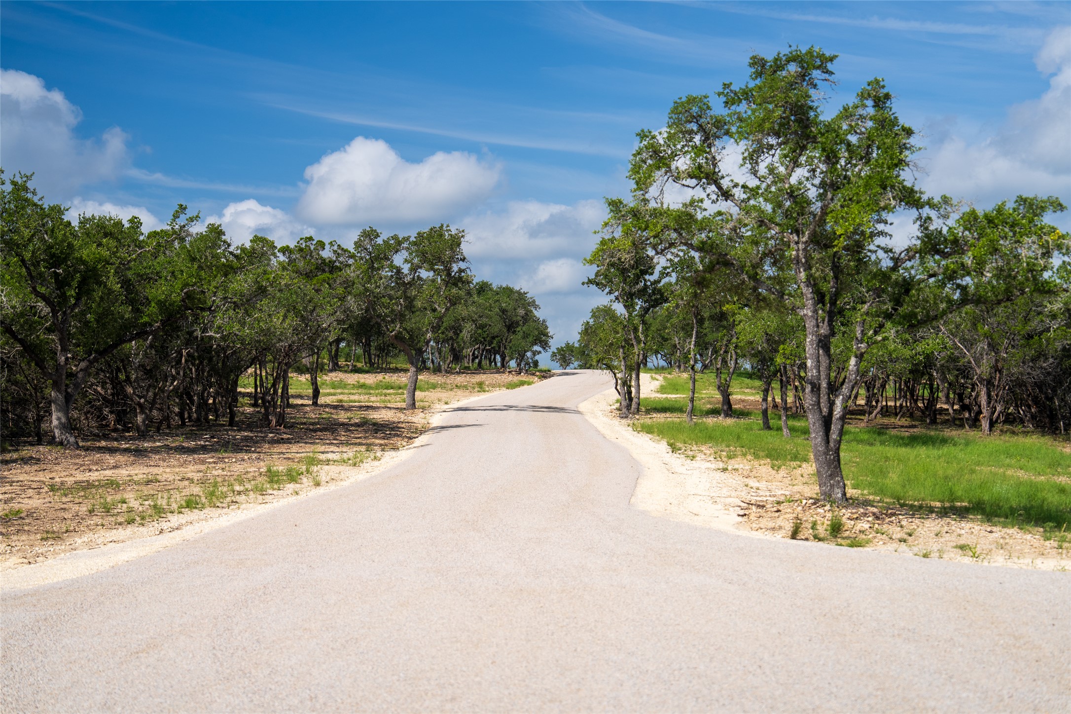 7 Fm 2325 Road Wimberley, TX 78676 - Photo 2 of 24 View of asphalt street with view of scattered trees