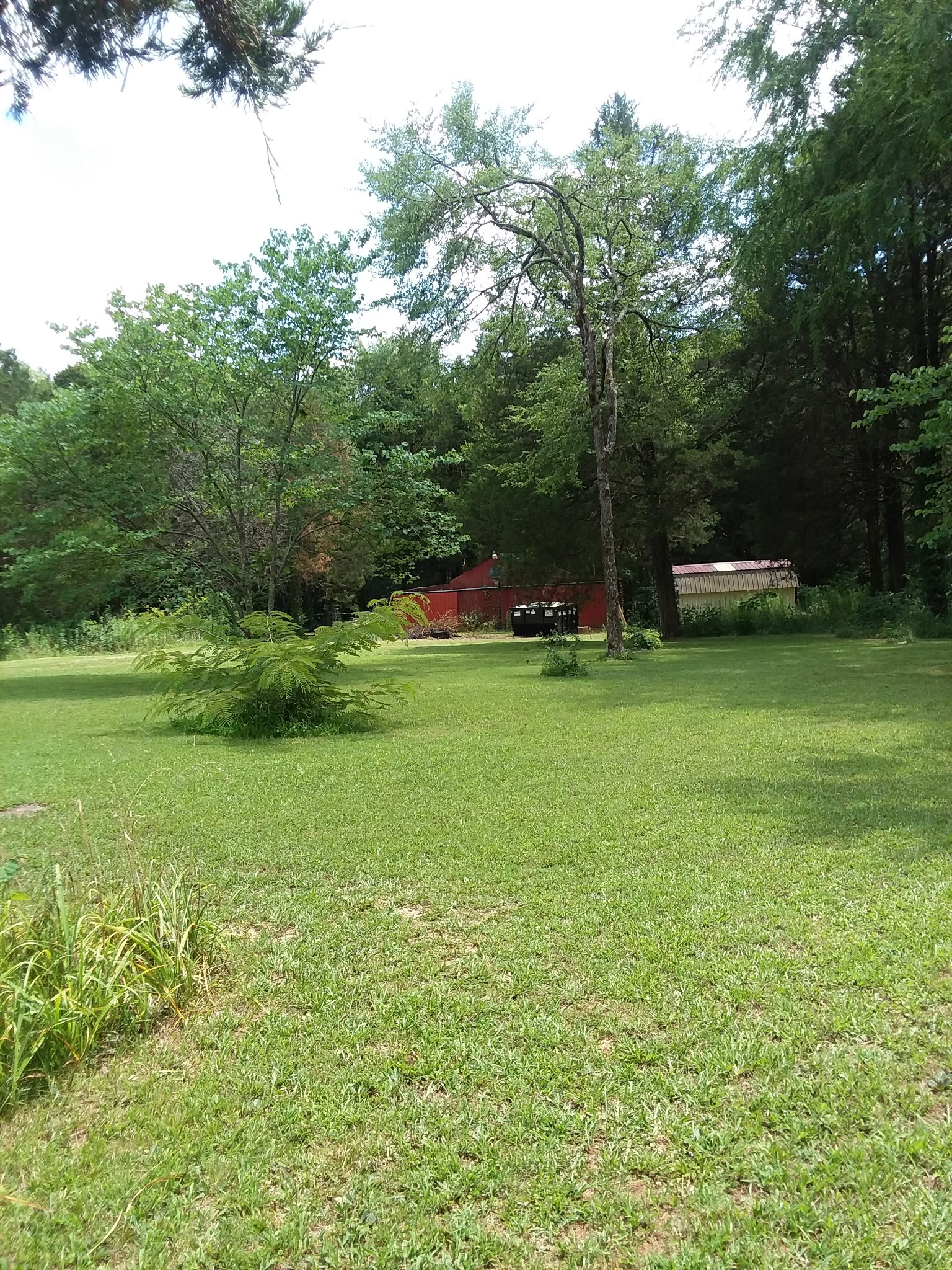 4024 Simmons Bluff Road Lebanon, TN 37090 - Photo 34 of 38 a view of a field of grass and trees