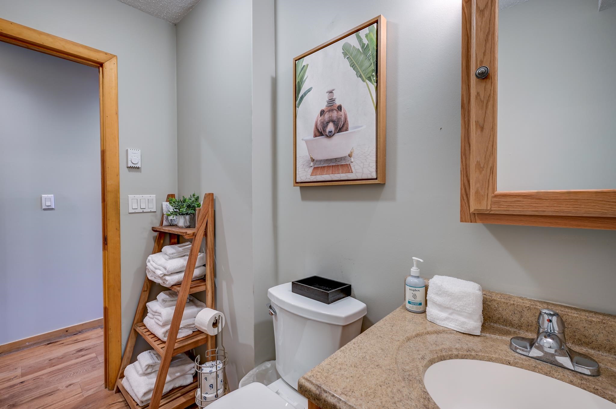 3-2 Mountain View Road, Unit 2 Bartlett, NH 03845 - Photo 32 of 44