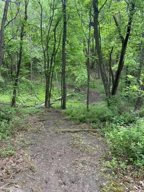 Parcel A West County Line Road Greenville, MI 48838 - Photo 4 of 14 P3