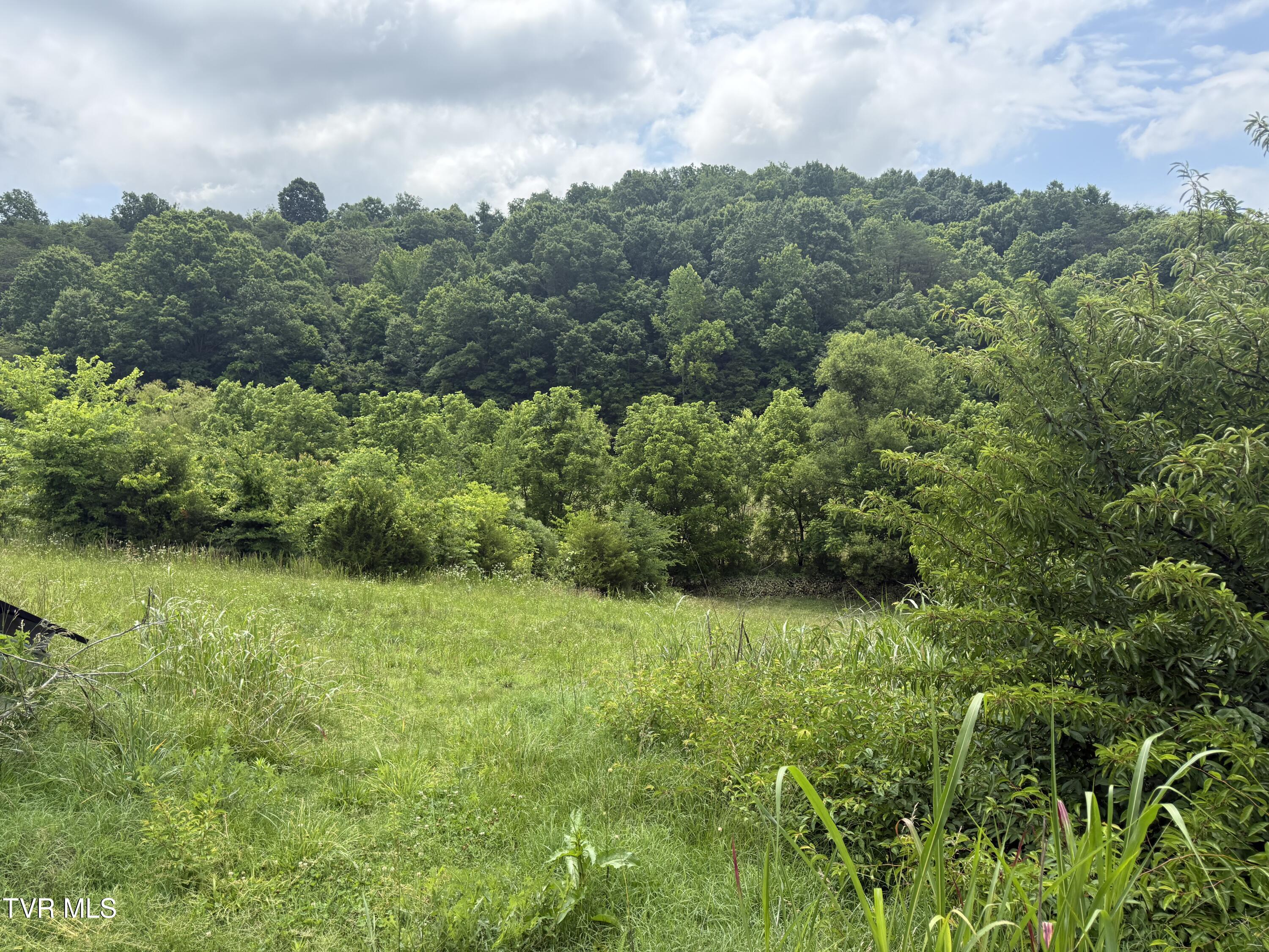 2233 Sinking Creek Road Parrottsville, TN 37843 - Photo 7 of 48 IMG_1917