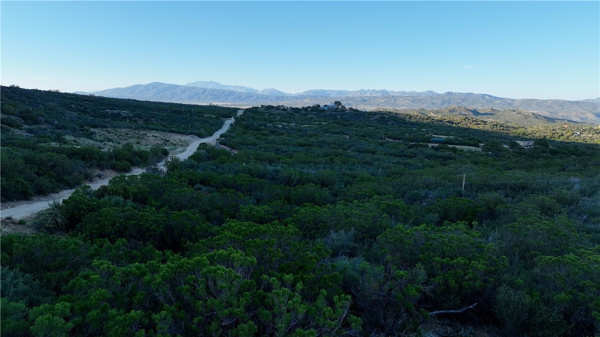 44 Rim Rock Road Anza, CA 92539 - Photo 13 of 17